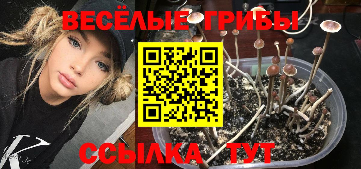 Псилоцибиновые грибы Magic Shrooms  купить наркоту  Видное  Вход с VPN 